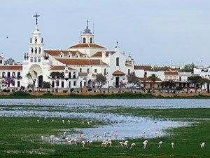 The marsh with Greater Flamingos at El Rocío © John Muddeman